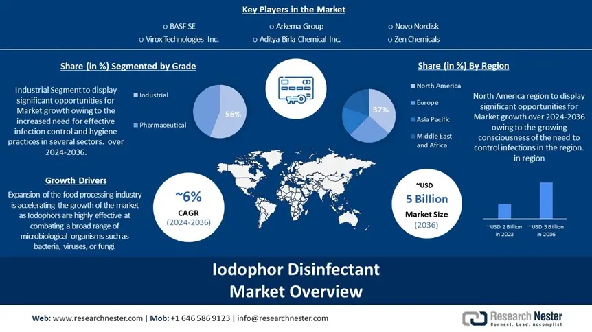 Iodophor Disinfectants Market